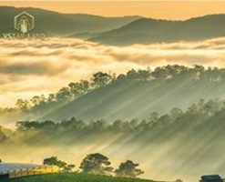 anh-dai-dien-dat-view-doi-tp-bao-loc